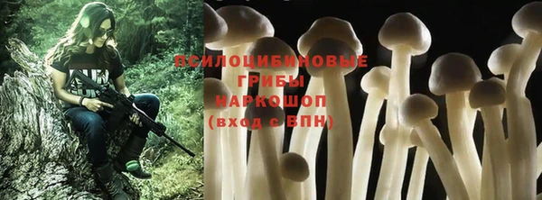 амф Алзамай